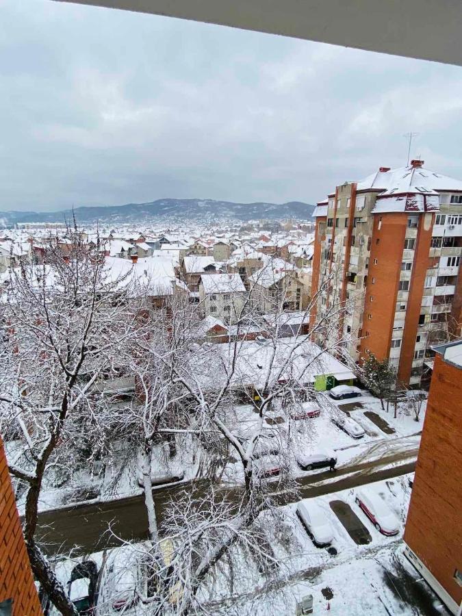 Sofi Apartment Nis Bagian luar foto