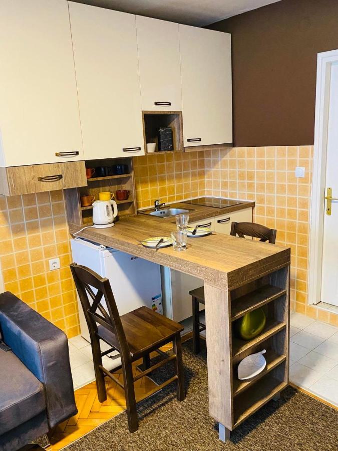 Sofi Apartment Nis Bagian luar foto