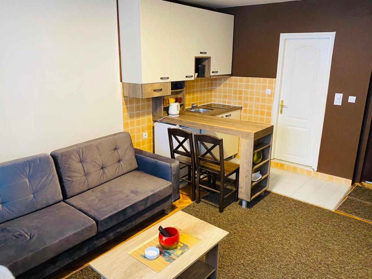 Sofi Apartment Nis Bagian luar foto
