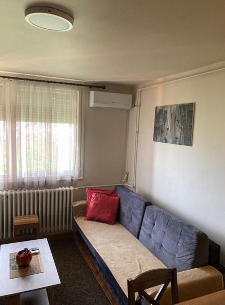 Sofi Apartment Nis Bagian luar foto