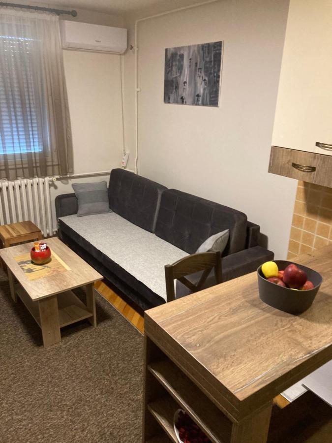 Sofi Apartment Nis Bagian luar foto