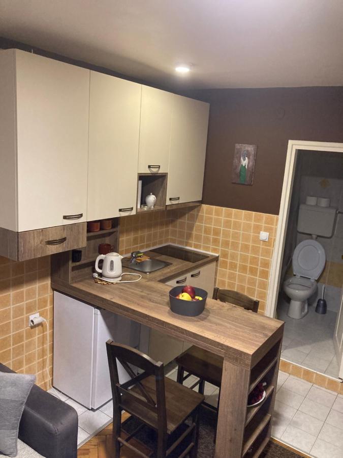 Sofi Apartment Nis Bagian luar foto